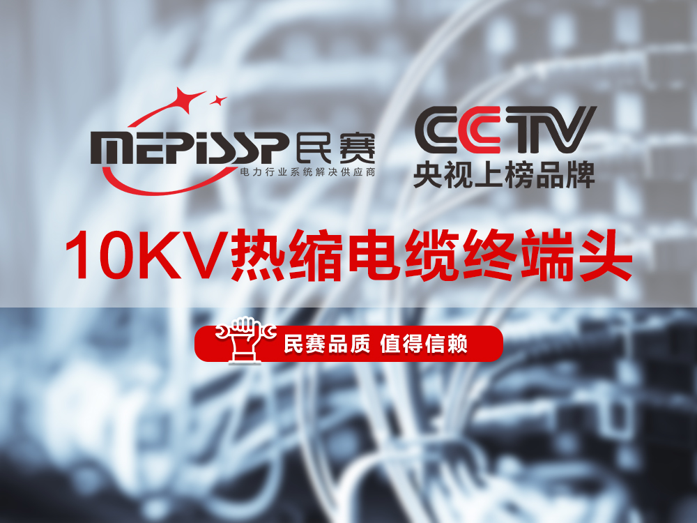 ��������-10KV���������ն�ͷ����