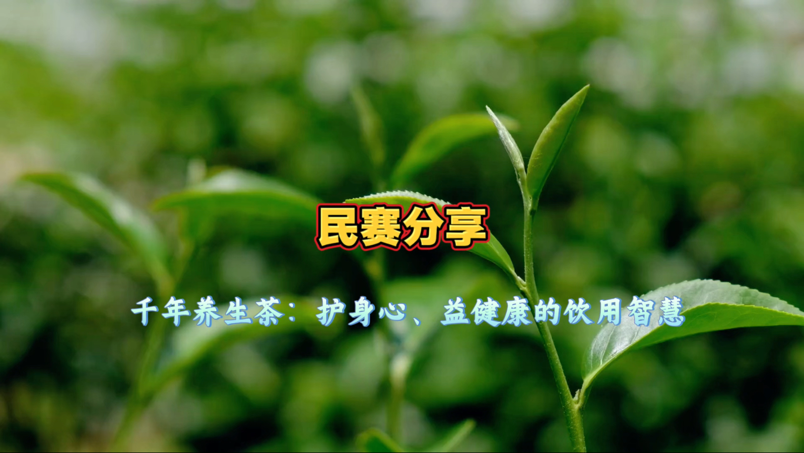 ���������������ЩӰ��